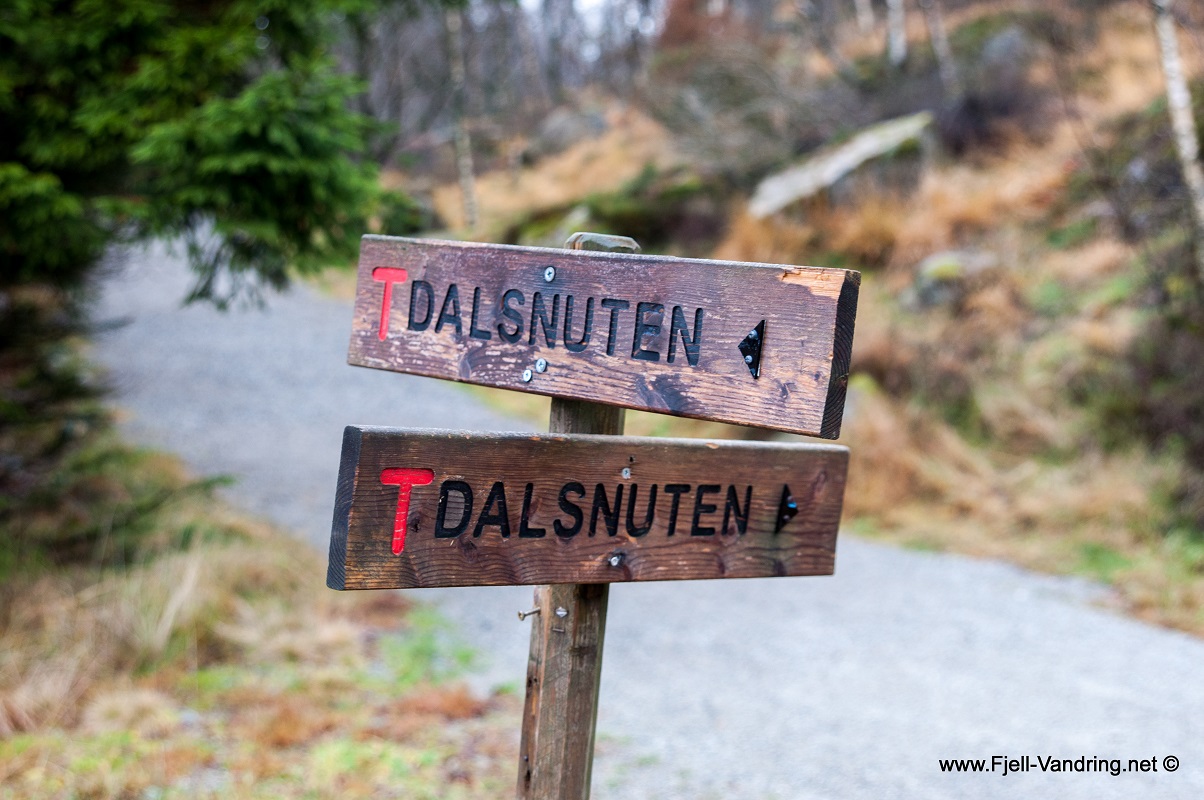 Dalsnuten - Topptur i Sandnes kommune