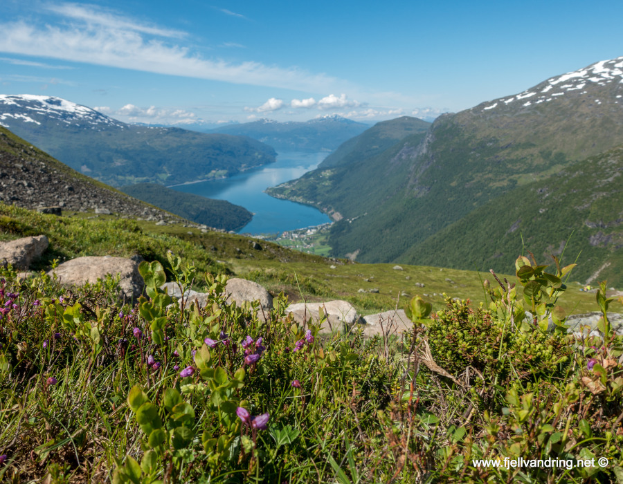 Fylkesoversikt i Norge – Fjell-Vandring AS