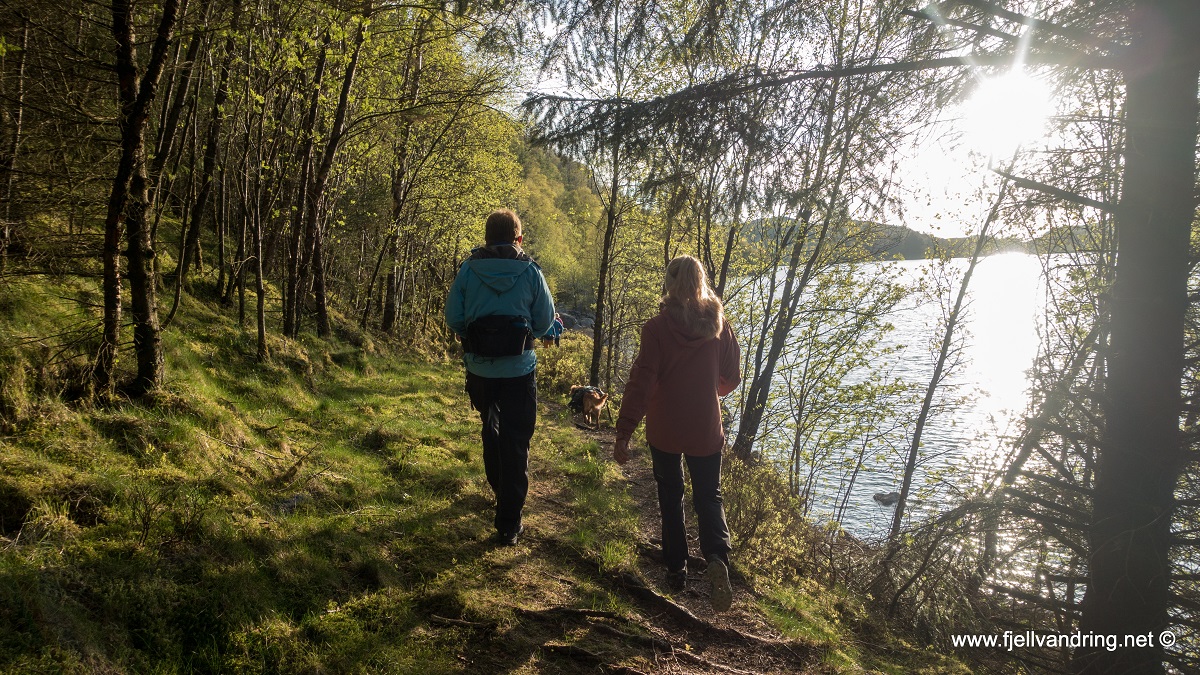 Ulvarudlå - Fin sti langs Tjålandsvatnet