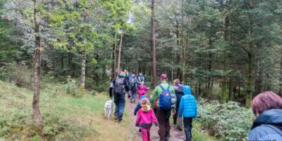 Barnas fellestur November 2021 - Tur og bålkos i Sælandsskogen