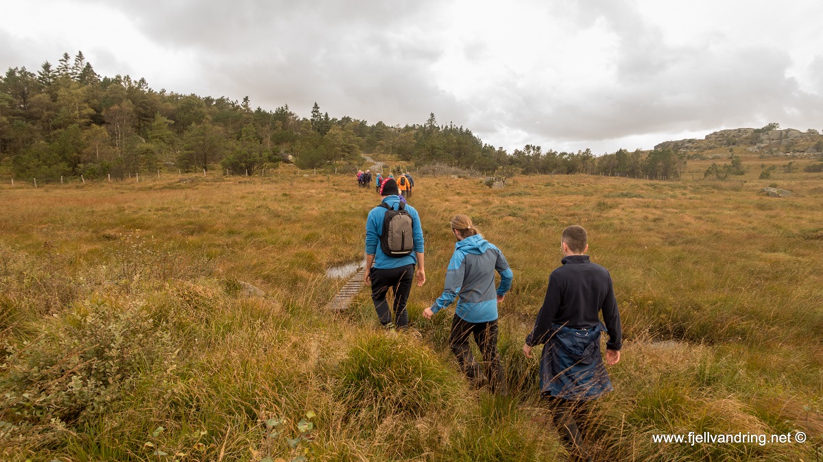 Åsen og Lyefjellet